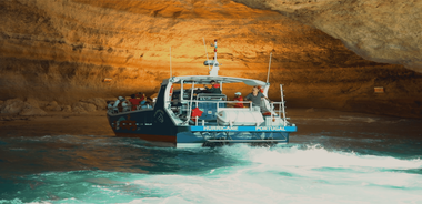 Lagos: Dolphin & Benagil Tour with Marine Biologist