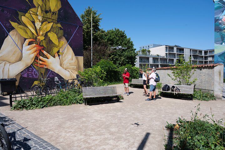 3-Hours Street Art Tour in Aalborg