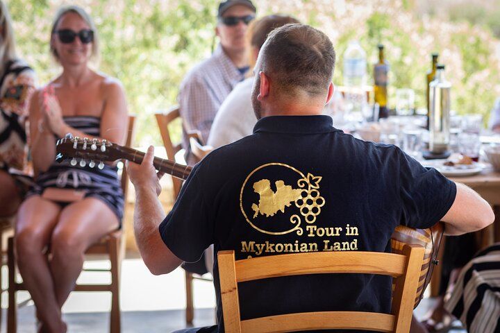 Tour and Wine Tasting in Mykonian Land 