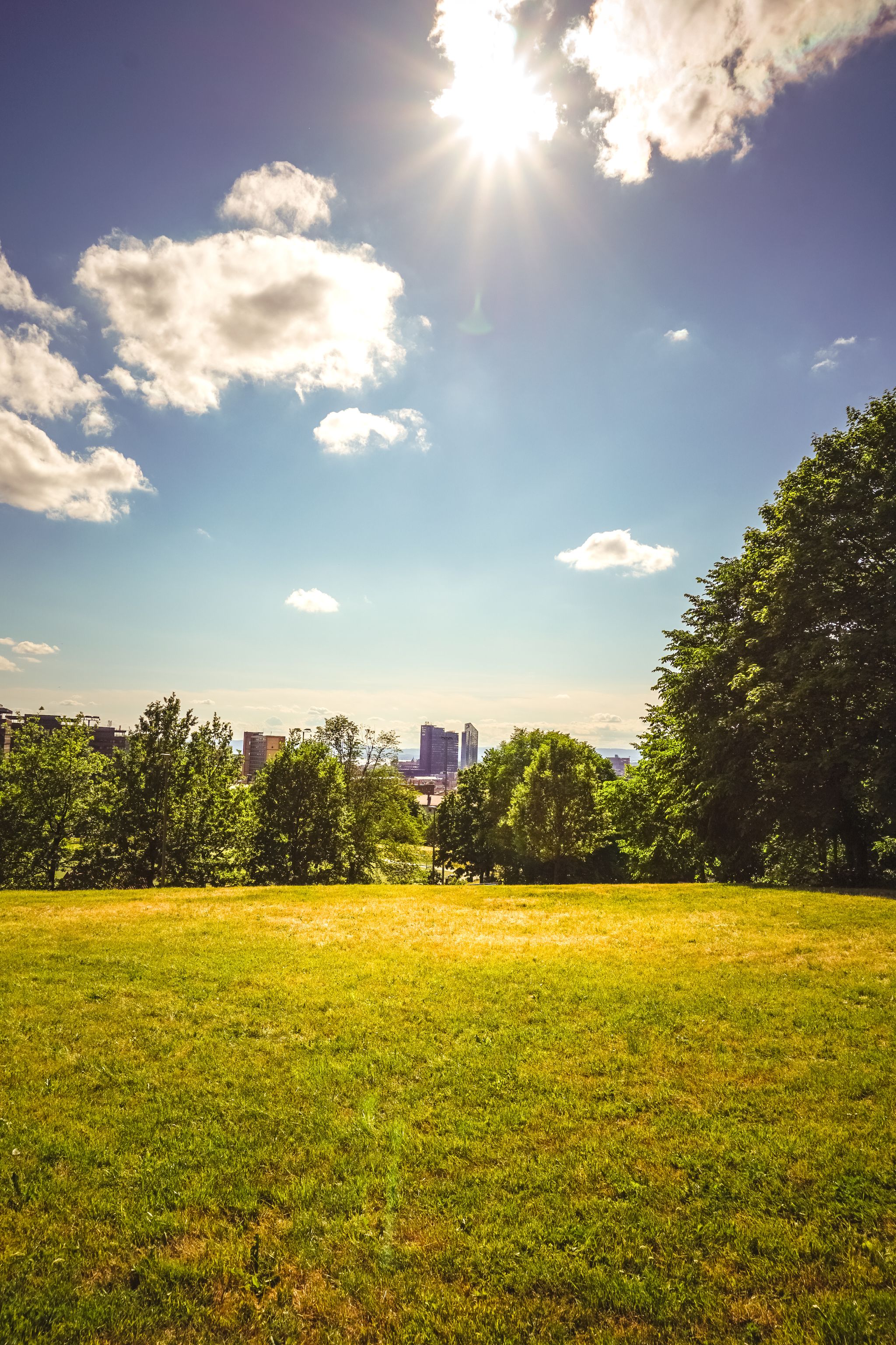Scenic view of Oslo downtown skyscrapers from Toyen park during a sunny day.