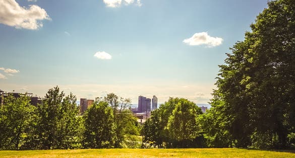 Scenic view of Oslo downtown skyscrapers from Toyen park during a sunny day.