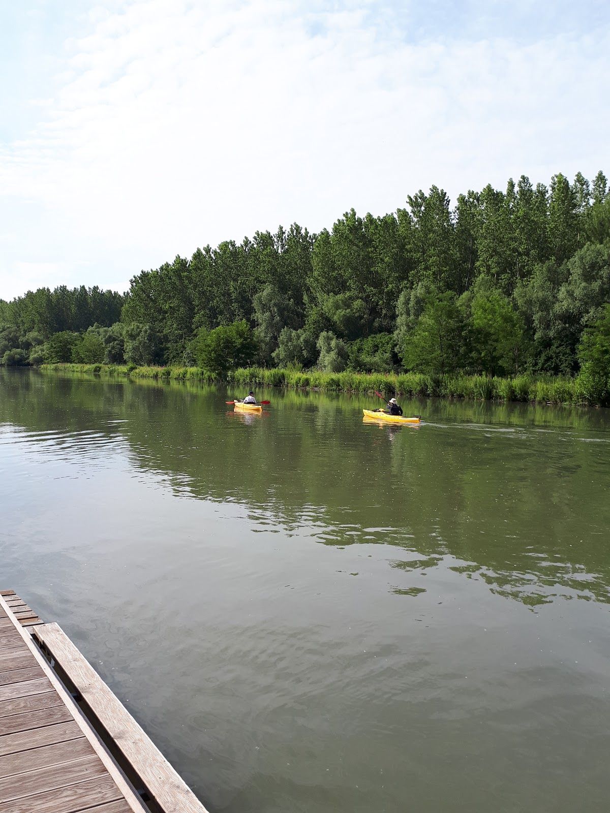 Szigetközi Landscape Protection Area, Lipót, Mosonmagyaróvári járás, Győr-Moson-Sopron, Western Transdanubia, Transdanubia, Hungary