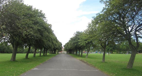 Photo of Tree-lined path in Exhibition Park, UK.