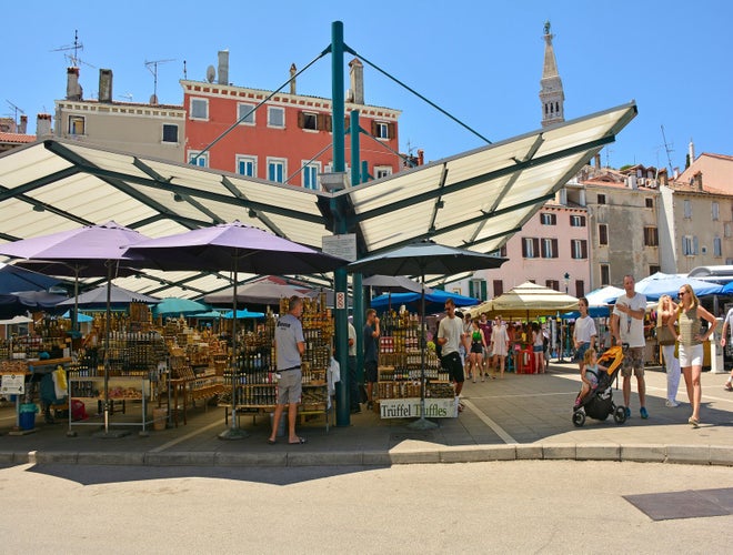 shutterstock_2365490505 (1).jpg