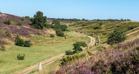 Photo of Kongenshus Mindepark, Denmark.