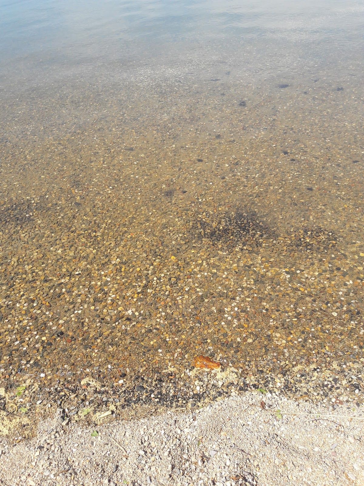 Pláž Barbora, Oldřichov u Duchcova, Jeníkov, okres Teplice, Ústecký kraj, Northwest, Czechia