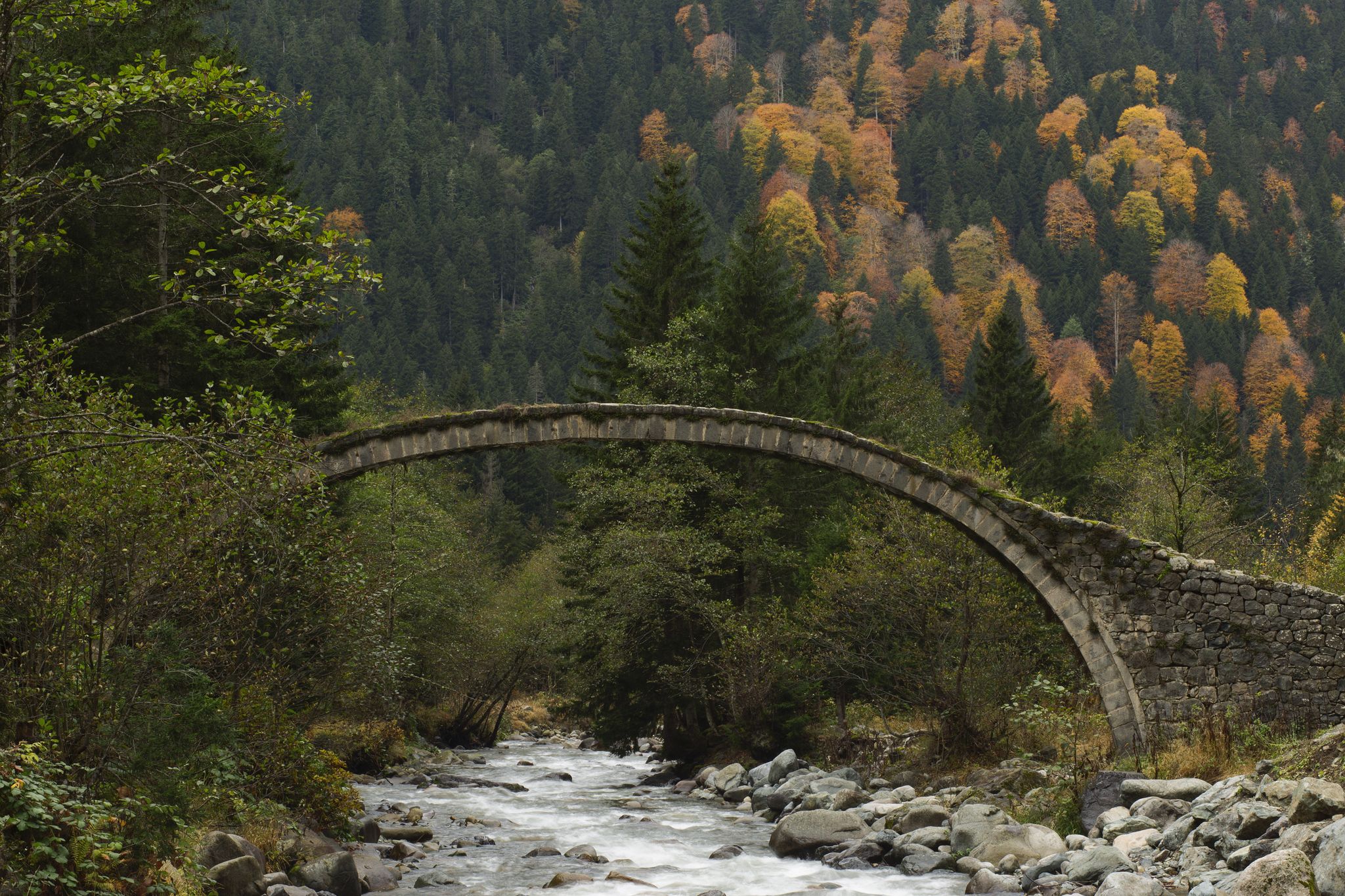 photo of old bridge in the valley of the Firtina near Palovit Waterfall Camlihemsin in Rize, Turkey.