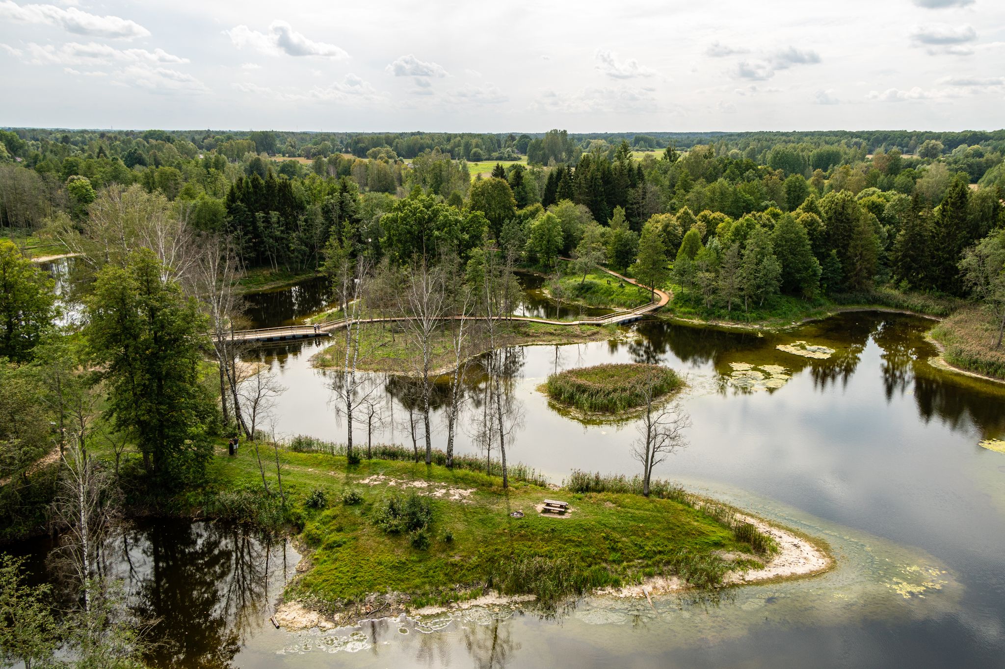 View from the top of Kirkilai observation tower with trees and karst lakes on a summer day in Lithuania near the city Birzai (Biržai)
