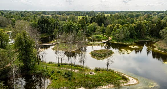 View from the top of Kirkilai observation tower with trees and karst lakes on a summer day in Lithuania near the city Birzai (Biržai)
