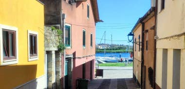 Private Half-Day TukTuk Tour All around Vila do Conde