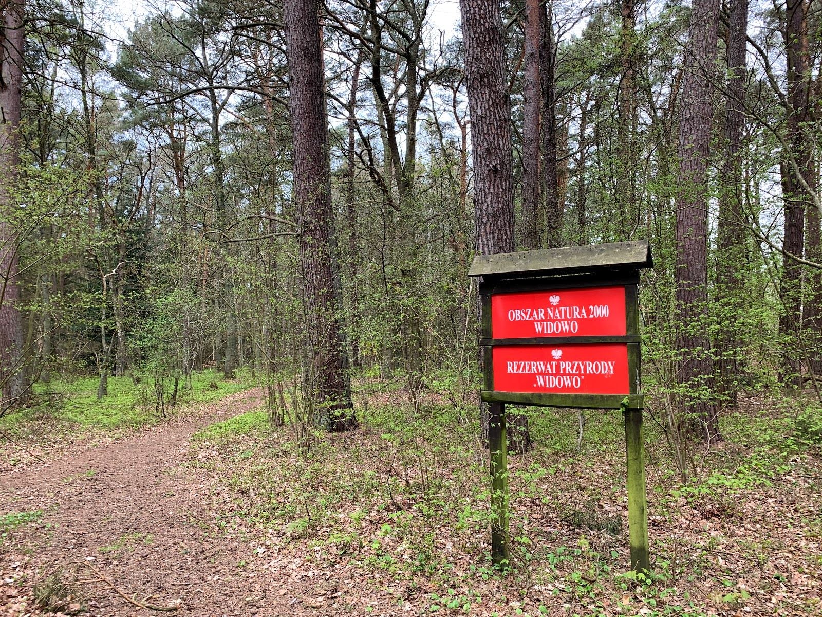 Widowo, gmina Krokowa, Puck County, Pomeranian Voivodeship, Poland