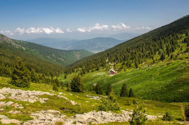 Pelister National Park.jpg