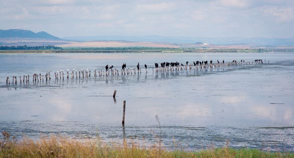 photo of view of The salt ponds of Pomorie lake in Bulgaria.
