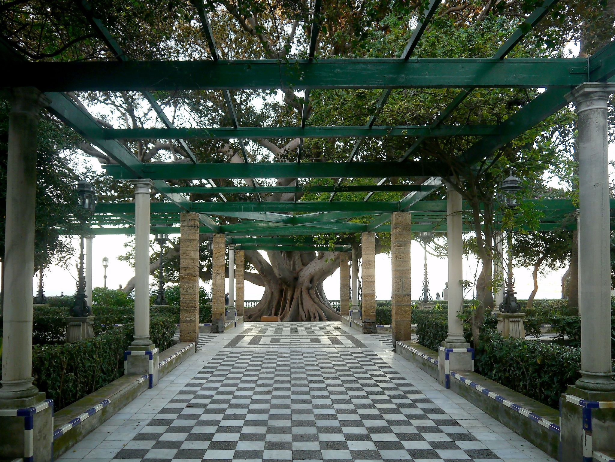 photo of Park Genoves in the capital of Cadiz, Andalusia. Spain.