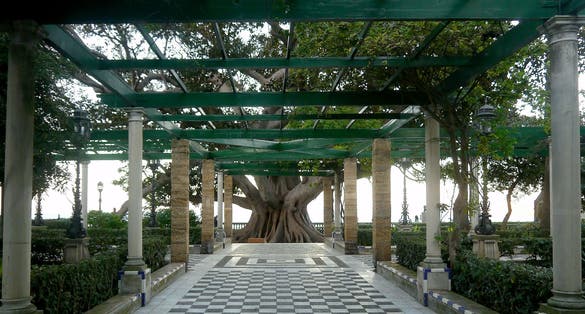 photo of Park Genoves in the capital of Cadiz, Andalusia. Spain.