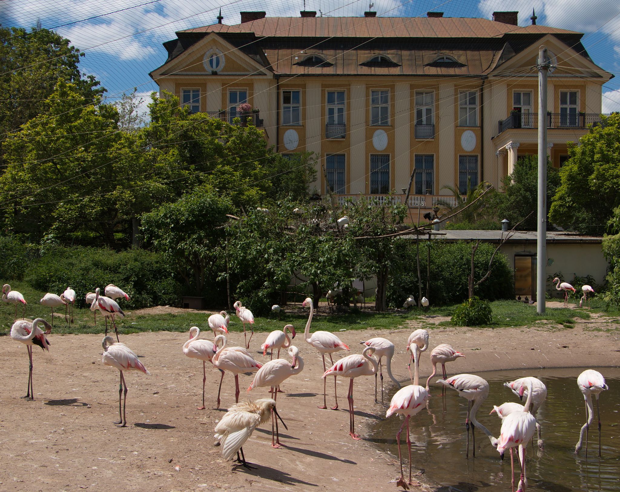 Dvůr Králové Zoo travel guide