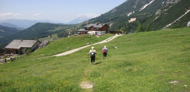Bavarian Salzburg Alpine Meadows Trail