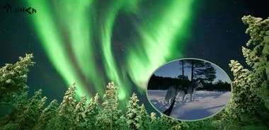 Ivalo: Aurora Hunting with Huskies