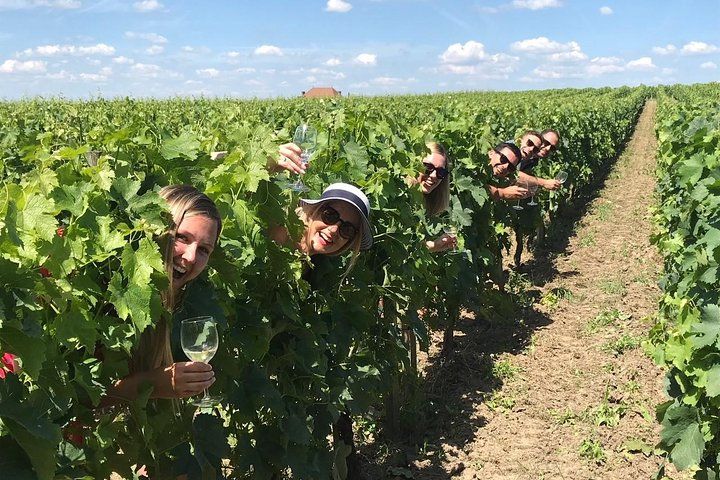 Small-Group Wine Tasting and Chateaux Tour in Medoc or St-Emilion from Bordeaux