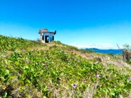 Vacation Rental Apartments in Roxas – Top-Rated Selection & Best-Value Deals
