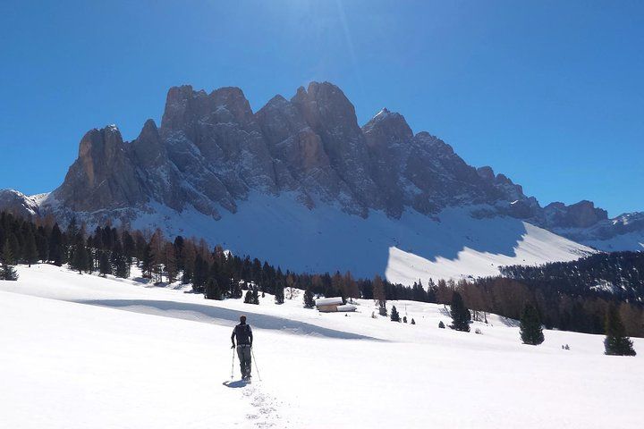 Dolomites of Bolzano Winter Hiking & Sledding Experience