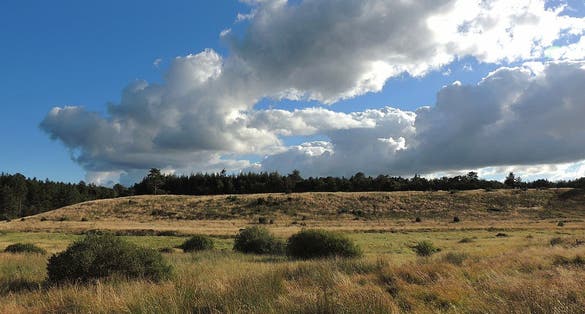 Photo of Kongenshus Mindepark, Denmark.