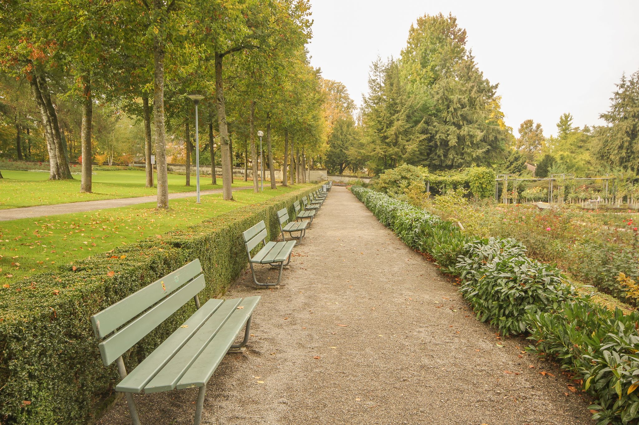 photo of benches at Rose Garden Bern at autumn in Switzerland.