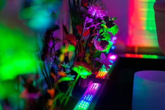 9 Best Things to Do in Bath You Can’t Miss