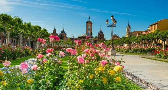 Photo of Plaza de Cervantes Square, Alcala de Henares, Spain.