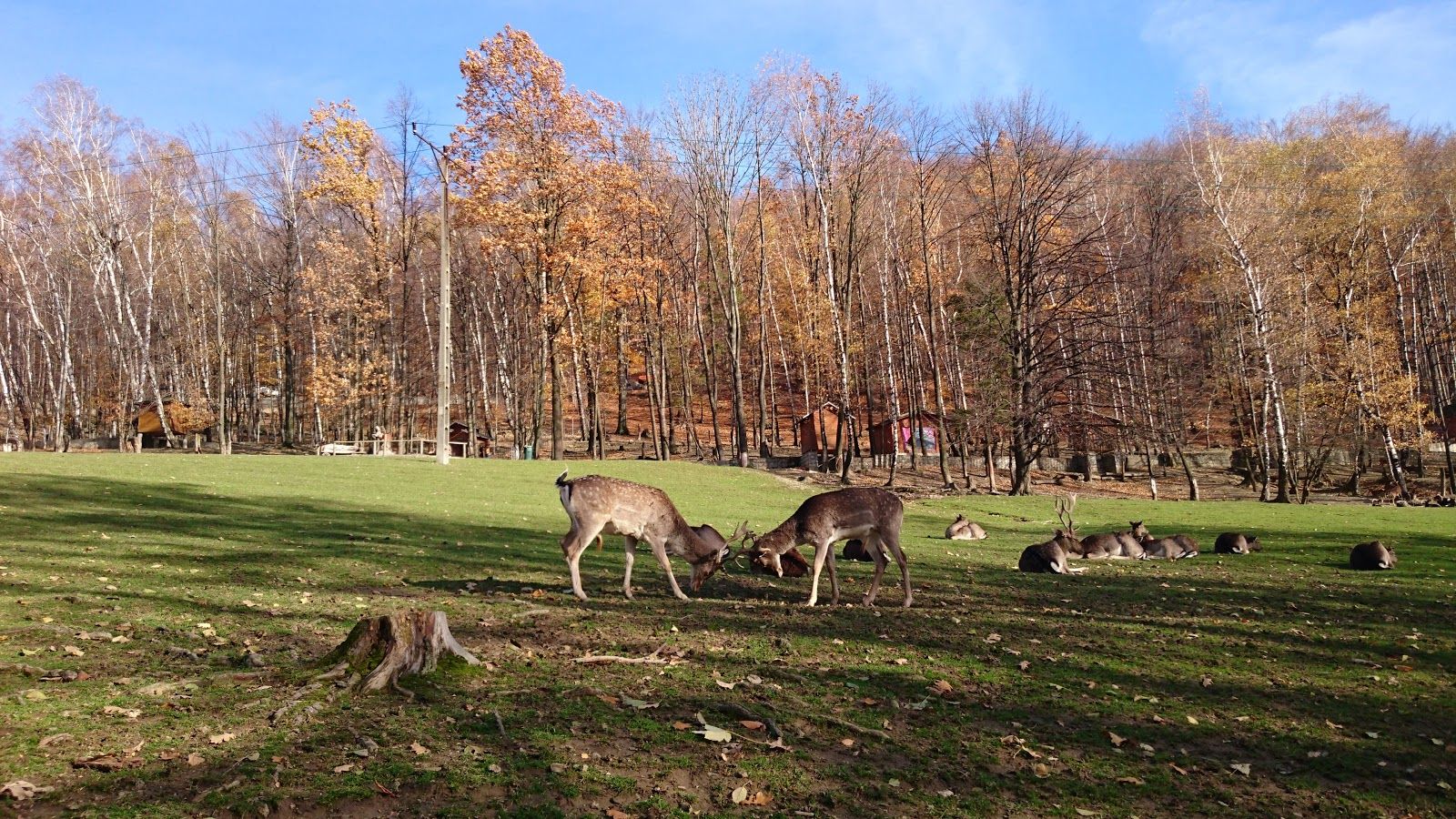 Forest Park of Surprises, Ustroń, Cieszyn County, Silesian Voivodeship, Poland