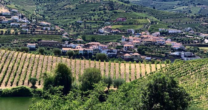 Douro Valley by Bike