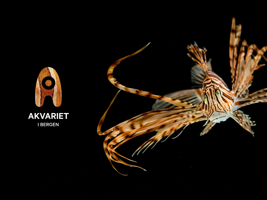 Akvariet i Bergen - Det Nasjonale Akvariet, Bergenhus, Bergen, Vestland, Norway