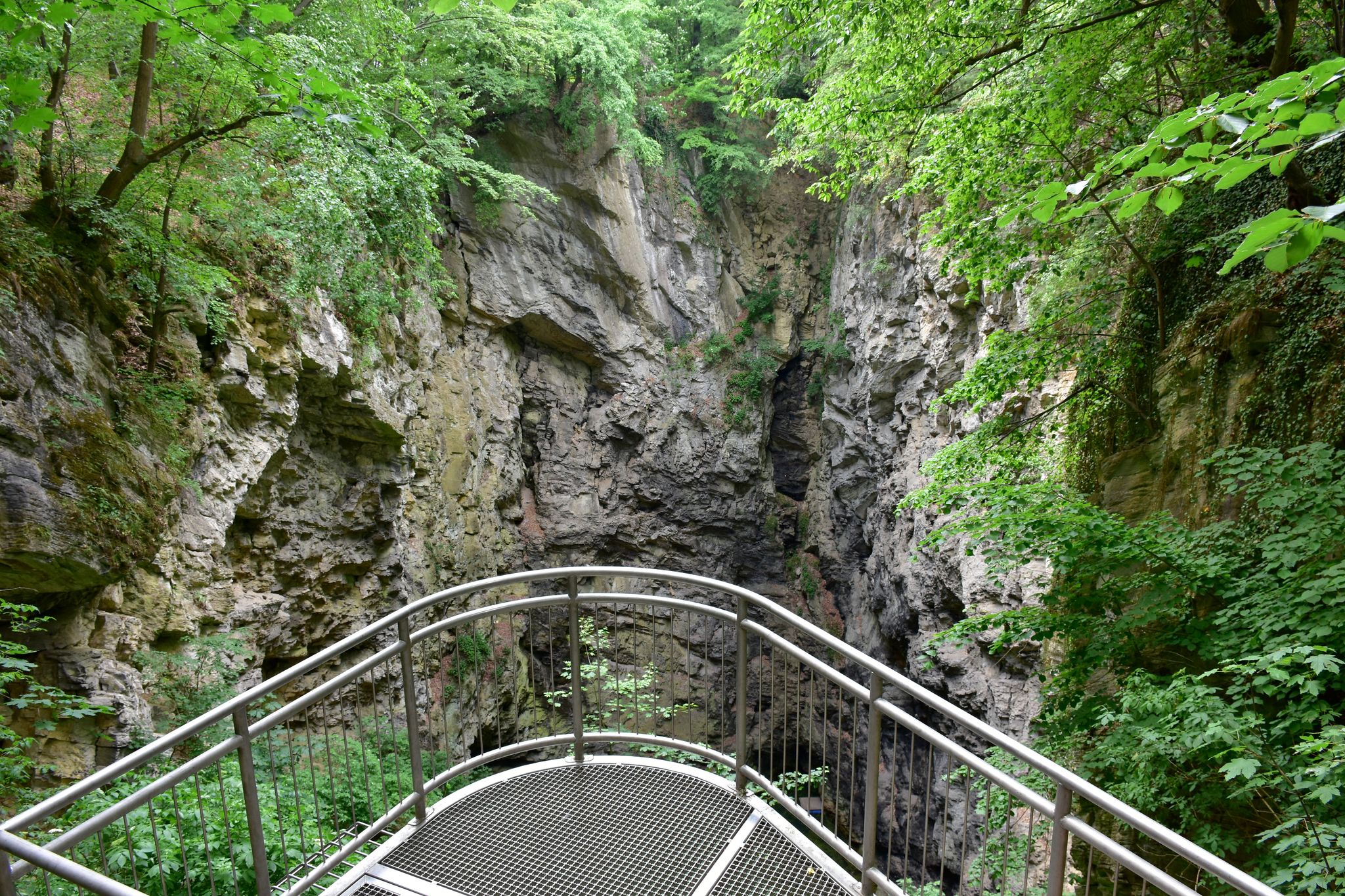Photo of abyss in nature reserve Hranicka propast, Czech.