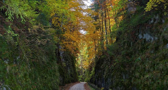 Photo of old passing road in romanian Carpathians Mountains called Cheile Dambovicioarei - touristic attraction in Dambovicioara village.