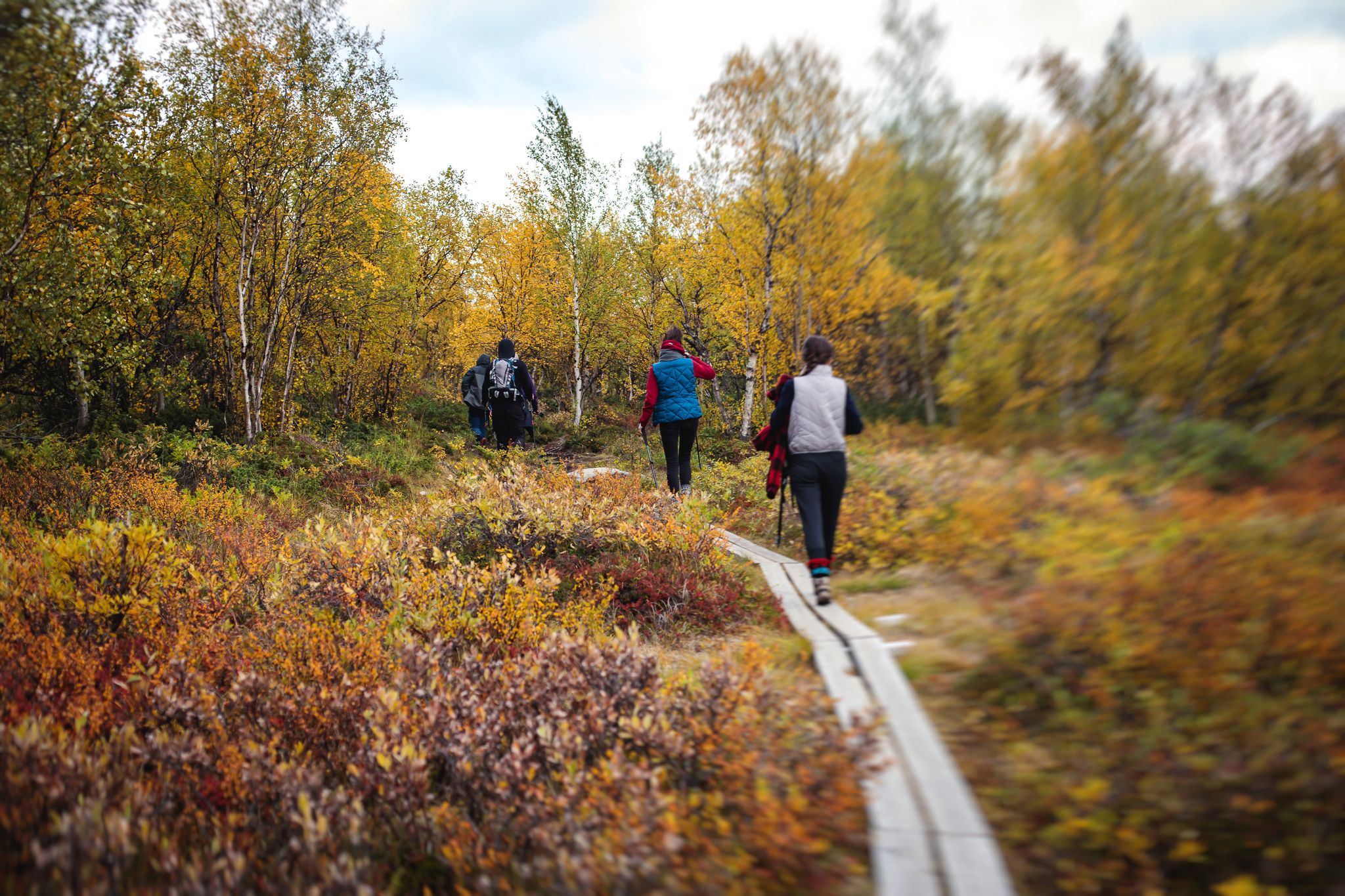 photo of sunny fall autumn view with tourists of Abisko National Park, Sweden.