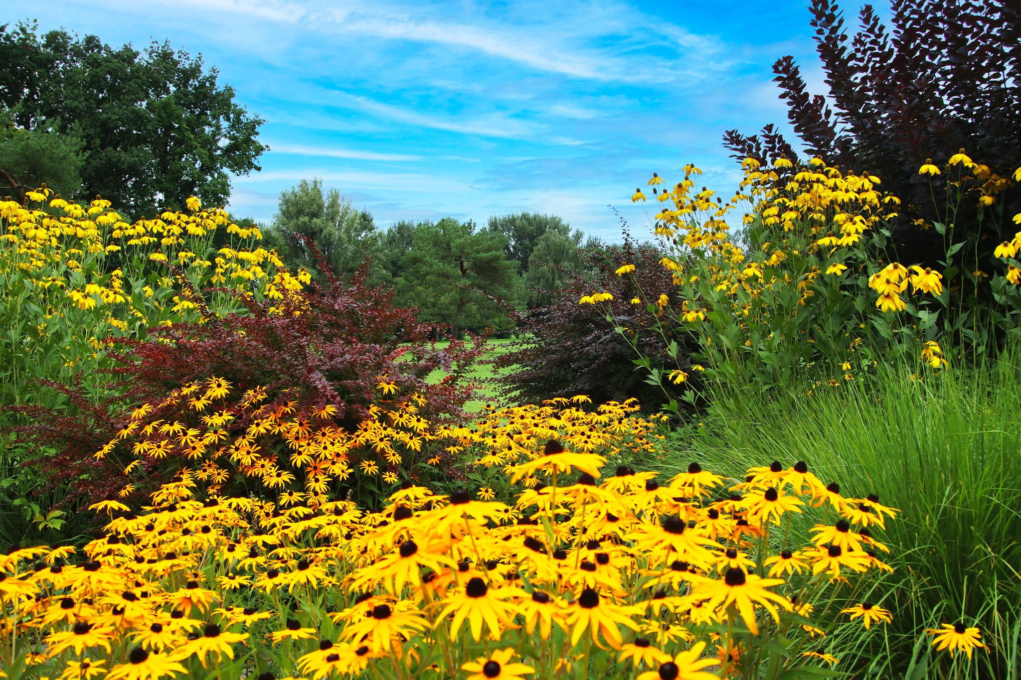 Photo of The Wertwiesen Park in Heilbronn, Germany, Europe. 