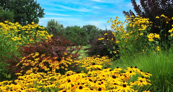 Photo of The Wertwiesen Park in Heilbronn, Germany, Europe. 