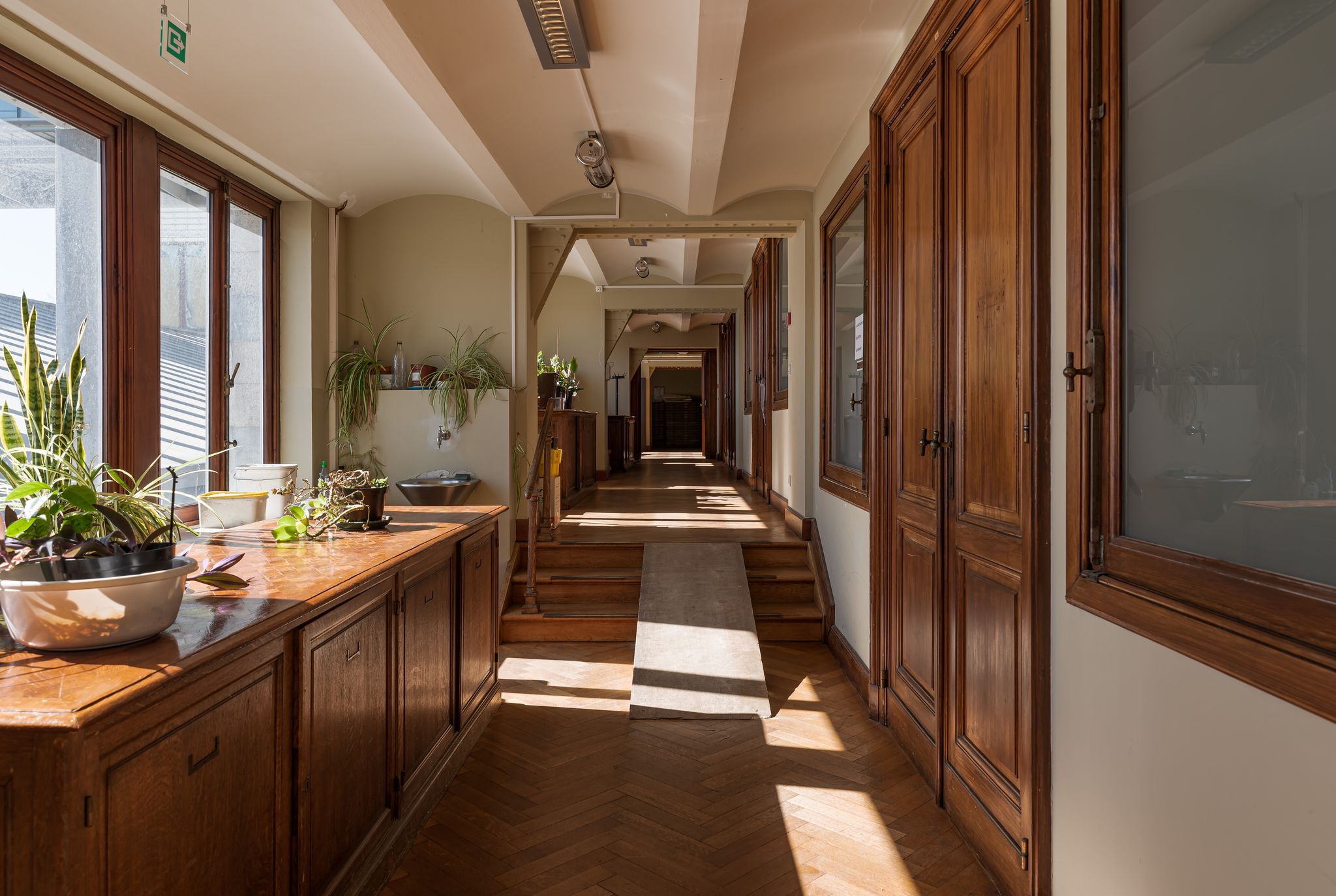Photo of vintage wooden desk in the corridor of the museum for natural science, Brussels ,Belgium.