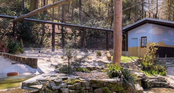 photo of view of Heimat-Tierpark Olderdissen .