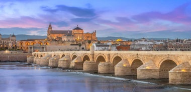 Cordoba: Mosque-Cathedral E-Ticket with Audio Guide
