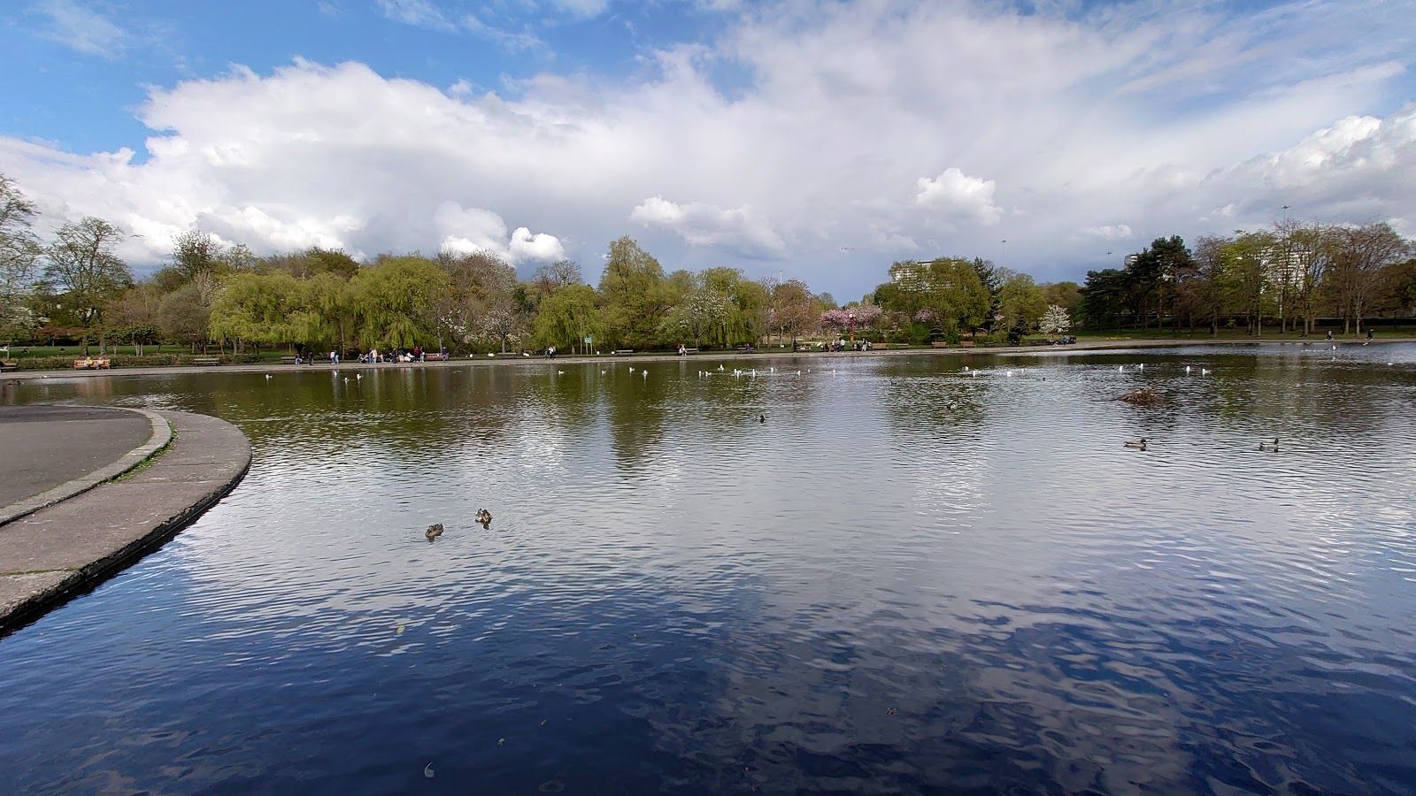 Victoria Park Pond, Glasgow City, Scotland, United Kingdom