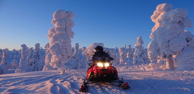 Saariselkä: Evening Snowmobile Tour with Fire & picnic