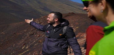 Mt. Etna nature and flavors half day Tour from Catania