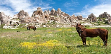 Daily Green Tour of Cappadocia - South Cappdocia