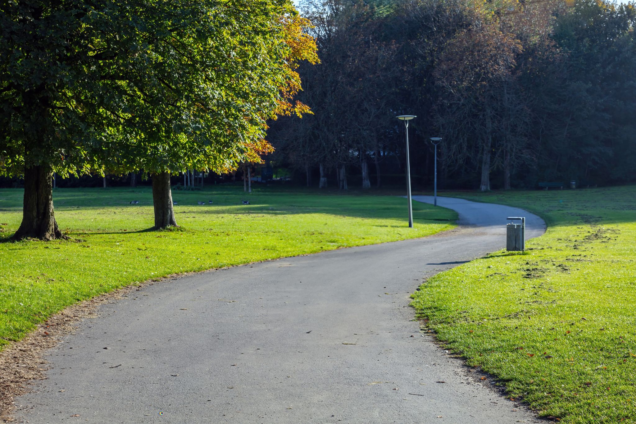 photo of view of Empty park path with falling leaf in Germany, Munich, destination Ostpark. Sunny day in public park, green grass, tree background.,Munich Germany.