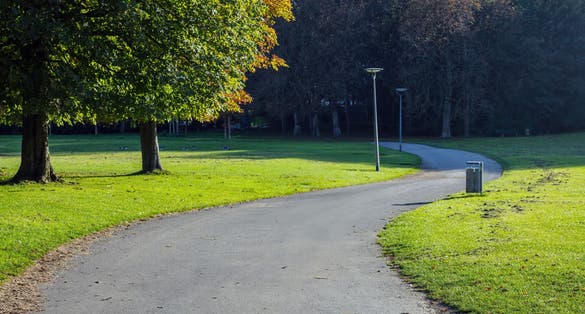 photo of view of Empty park path with falling leaf in Germany, Munich, destination Ostpark. Sunny day in public park, green grass, tree background.,Munich Germany.