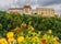 Panoramic view castle Veste Oberhaus on river Danube. Antique fortress in Passau, Lower Bavaria, Germany.