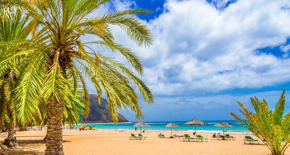 Photo of beautiful beach with sunbeds and umbrellas in Tenerife, Canary Islands, Spain