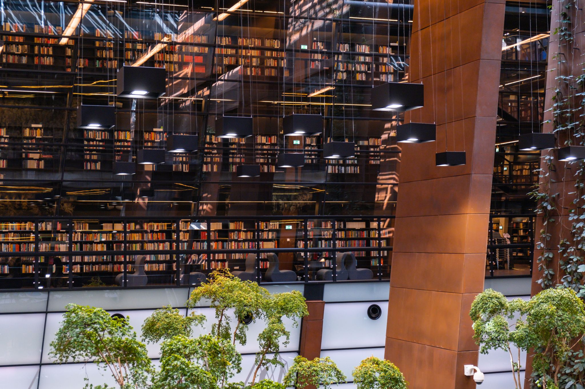 Public Library architecture bookcase Indoor trees Modern interior design of library in European Solidarity Centre Gdansk Poland. Biophilia design connecting with nature green areas. Modern abstract