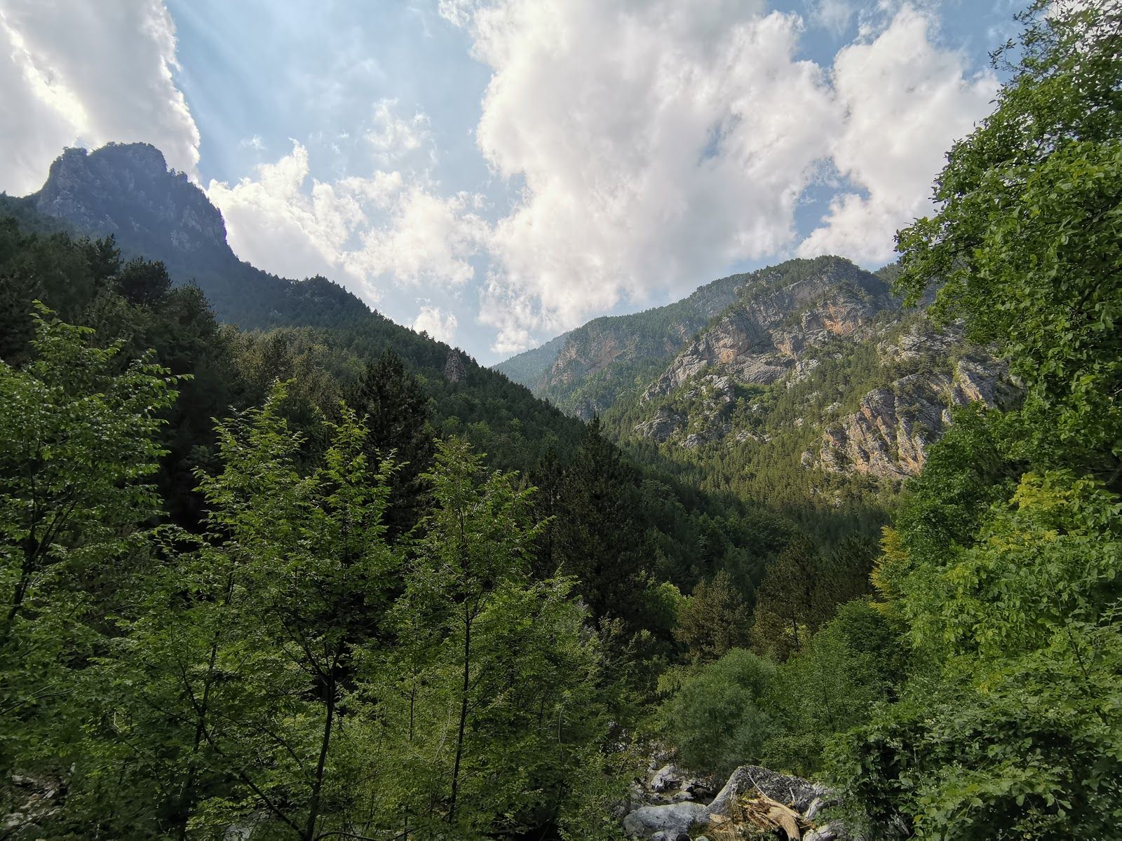 Mount Olympus, Δήμος Δίου - Ολύμπου, Pieria Regional Unit, Central Macedonia, Macedonia and Thrace, Greece